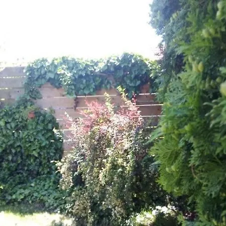 瑞彻吉公寓 招待所