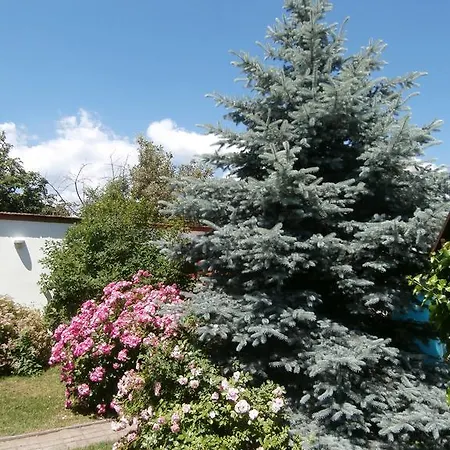 بيت ضيافة Rachegy إغير