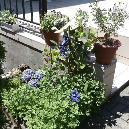 Rachegy بيت ضيافة