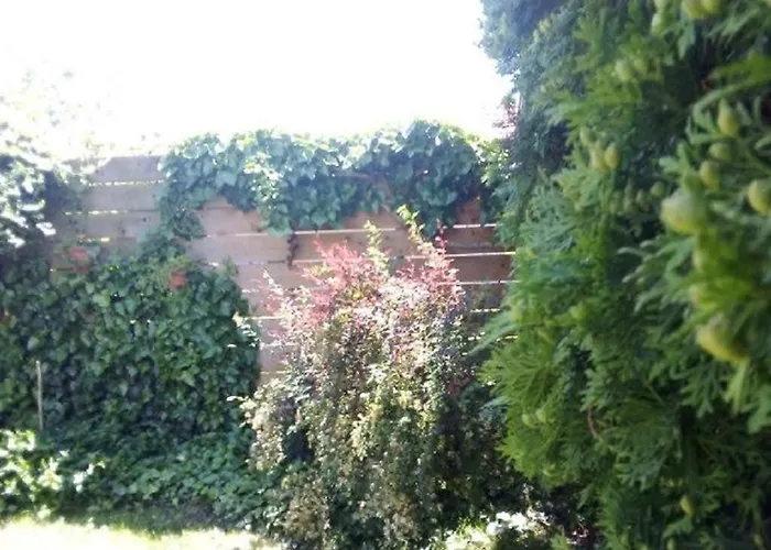 瑞彻吉公寓 招待所