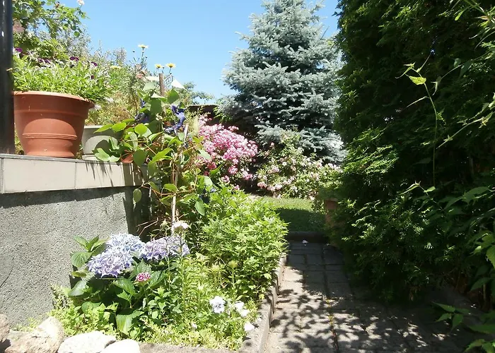 招待所 瑞彻吉公寓 3*