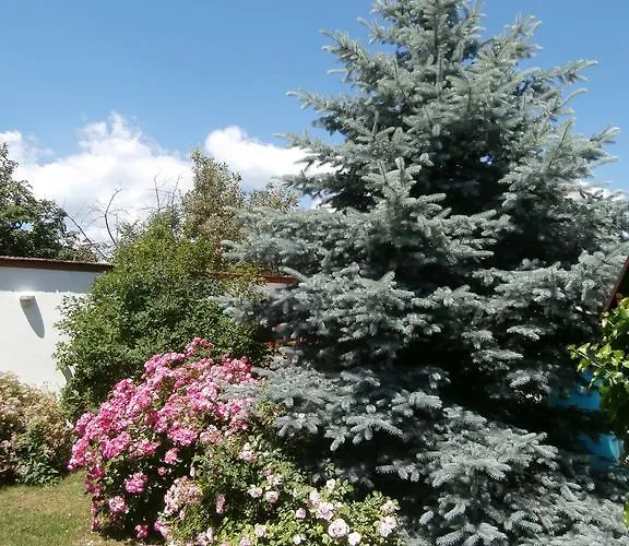 Guest house Rachegy Eger